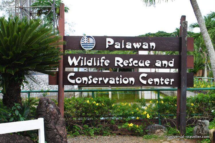 Crocodile Farm Palawan Wildlife Rescue Center In Puerto Princesa