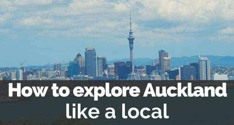 How To Explore Auckland New Zealand Like A Local What To Do