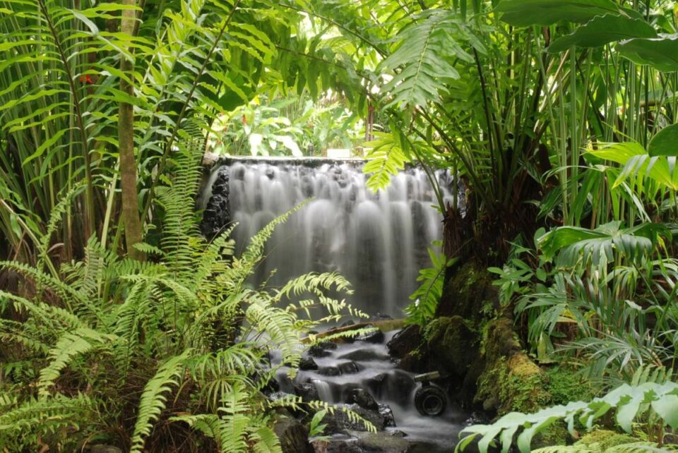 Las Mejores Aguas Termales De Arenal Costa Rica