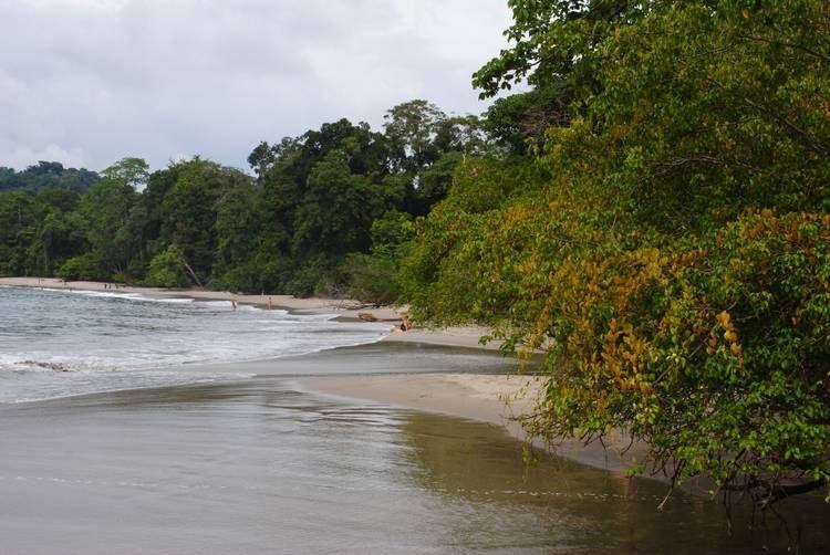Best Things To Do In Manuel Antonio Costa Rica