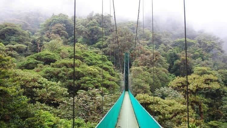 What Do In Monteverde Costa Rica? Monteverde Travel Tips