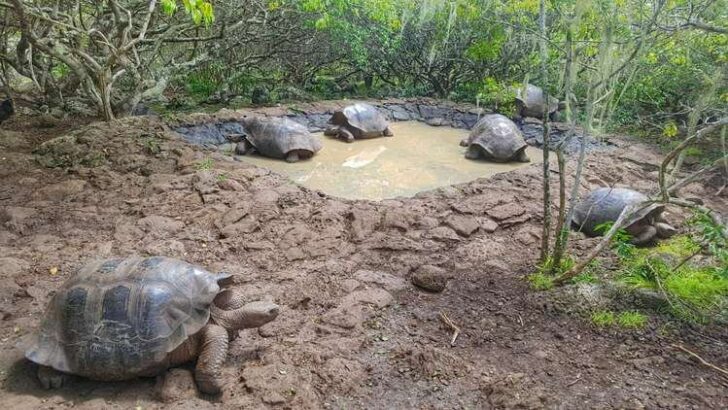 14 Top Things To Do On San Cristobal, Galapagos Islands