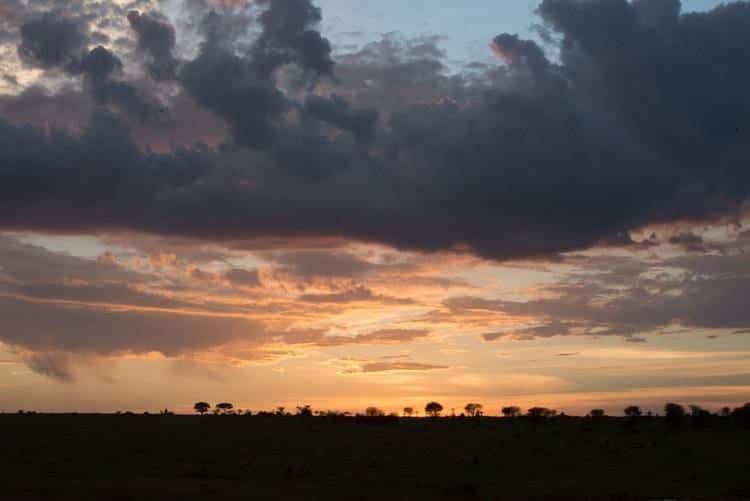 Ultimate Africa Adventure: Serengeti National Park Safari