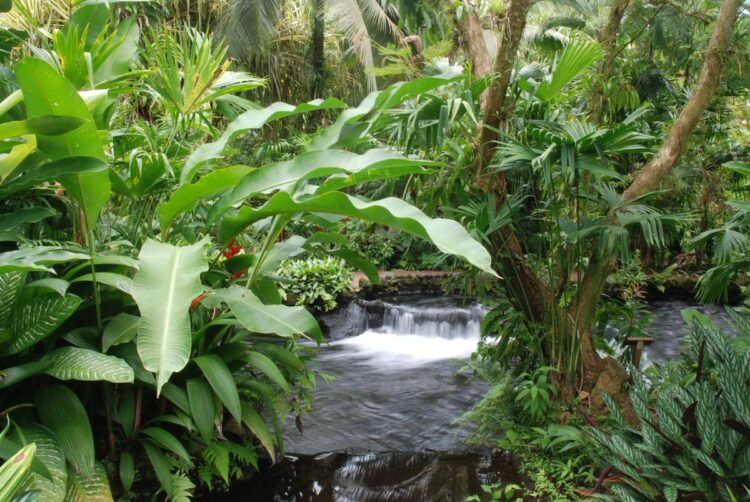 The 6 Best Arenal Costa Rica Hot Springs