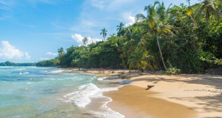 15 Best Things To Do In Puerto Viejo Costa Rica