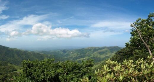 5 Best Ways To Get From La Fortuna To Monteverde