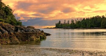 20 Best Things To Do On Vancouver Island