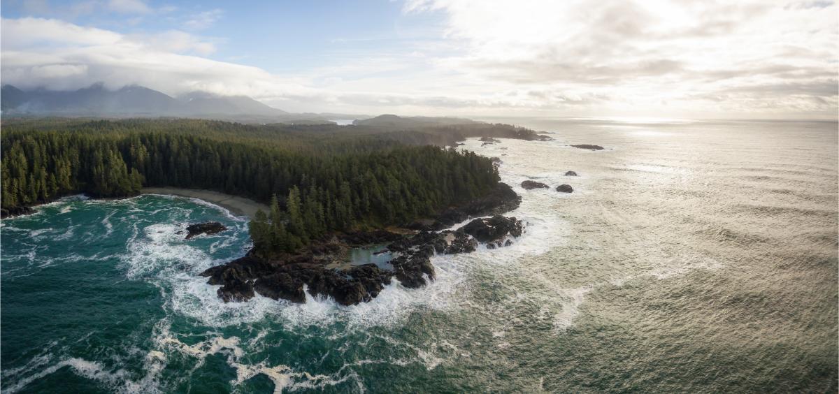 Ultimate List of Best Things to do on Vancouver Island3