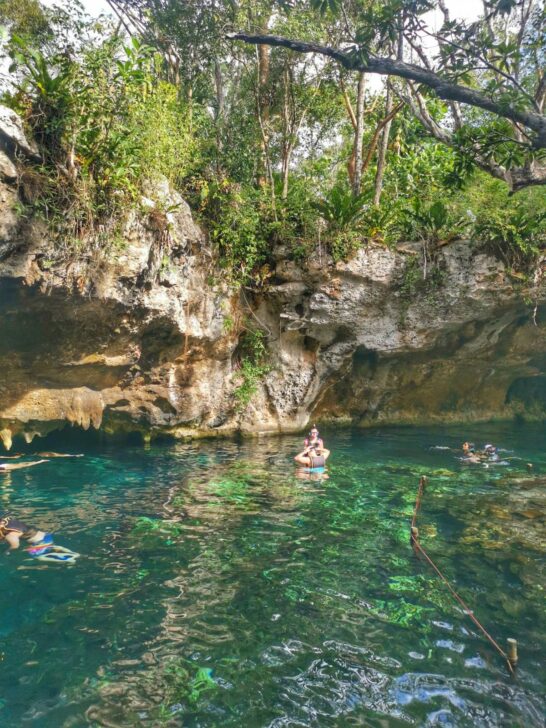 10 Of The Best Cenotes Tulum That You Have To Visit In 2022!