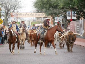 Stockyards in Fort Worth