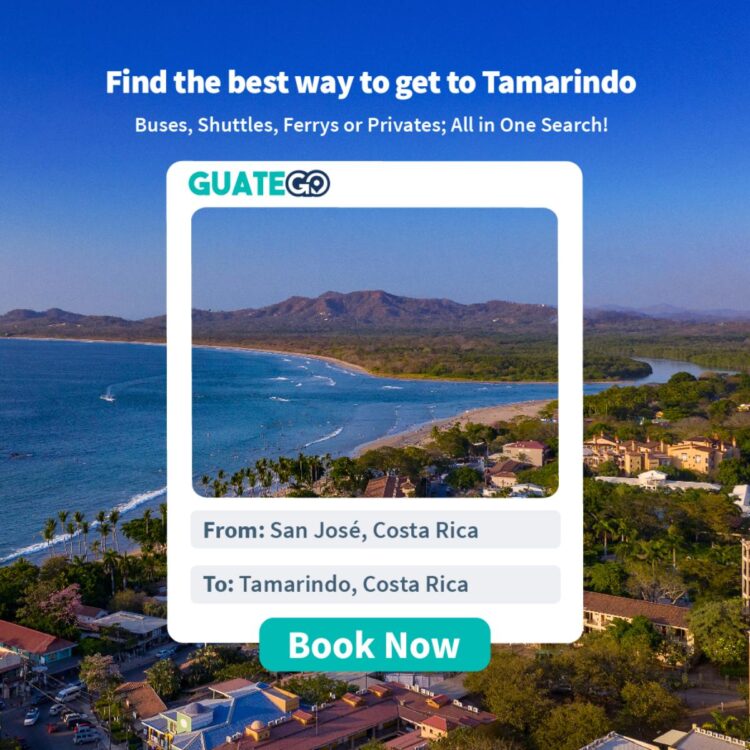 San Jose Costa Rica to Tamarindo - Best Travel Options5