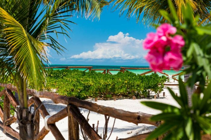 Day trips from cancun to holbox discova transfers cancun