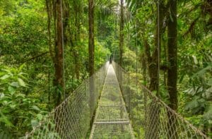 How to get from Liberia to Monteverde Costa Rica2