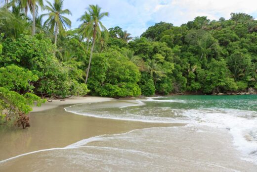 How To Get From Tamarindo To Manuel Antonio, Costa Rica