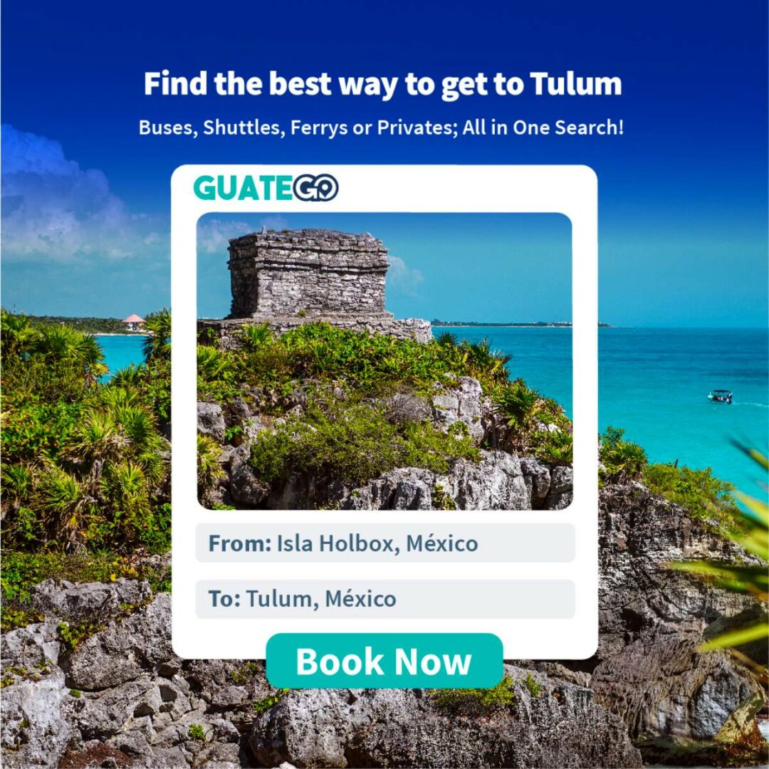 transfer tulum to isla holbox