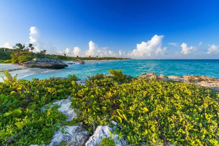 How To Get From Cancun Airport To Playa Del Carmen, Mexico