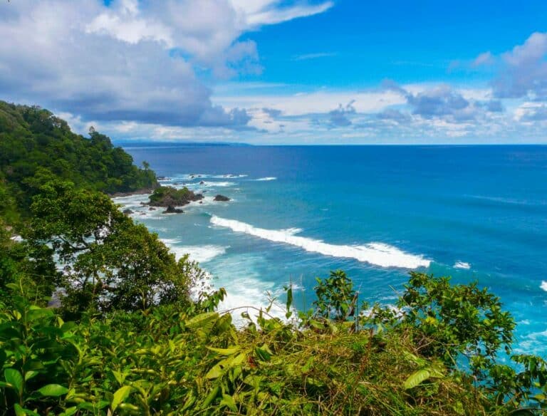Die 15 Besten Sehenswürdigkeiten In Corcovado, Costa Rica (2026)