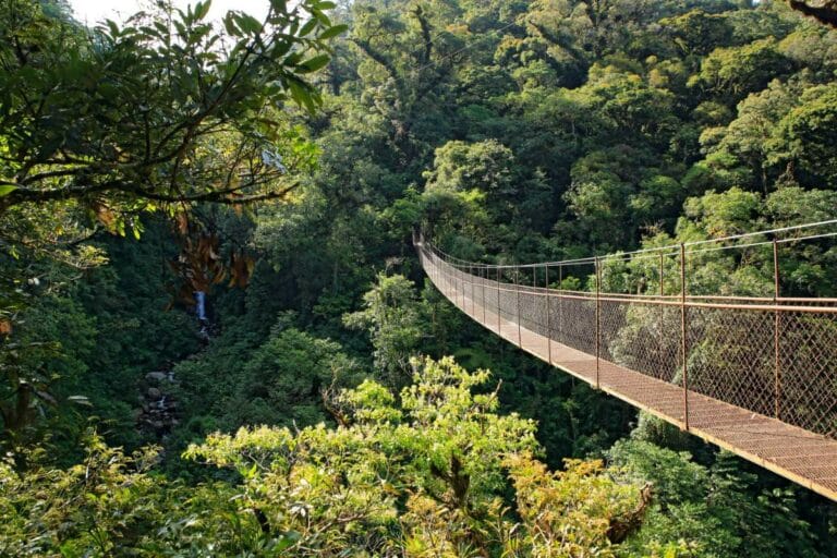 Die 4 Besten Möglichkeiten, Um Von Bocas Del Toro Nach Boquete, Panama Zu Kommen