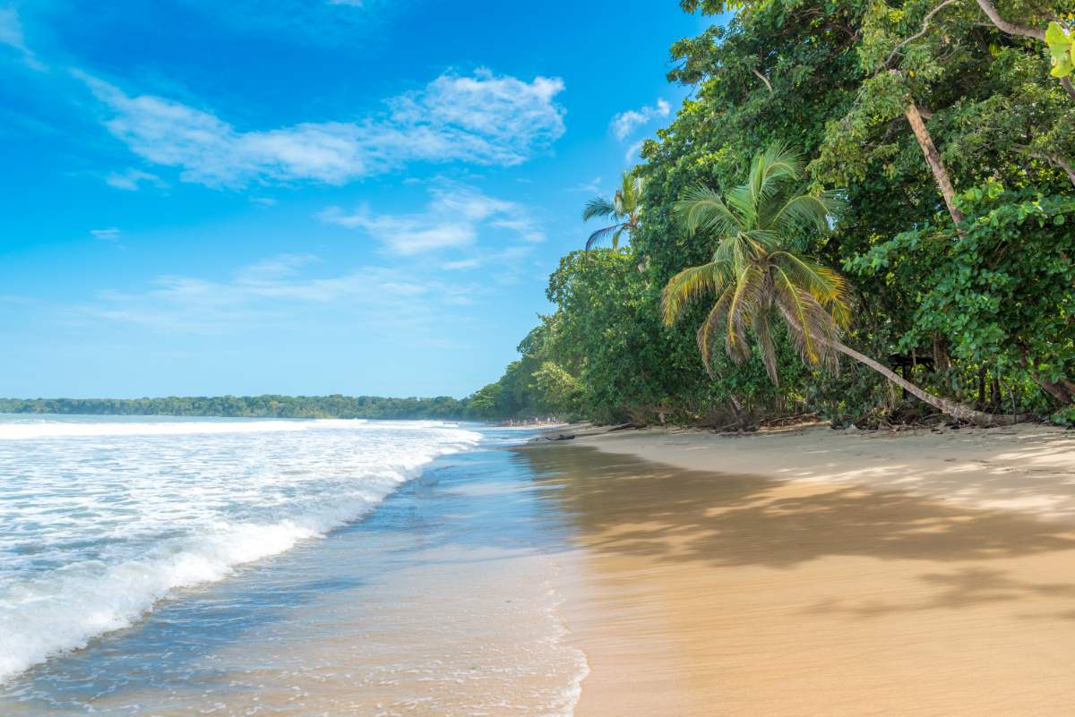 3 Best Ways To Get From Bocas Del Toro, Panama To Cahuita, Costa Rica