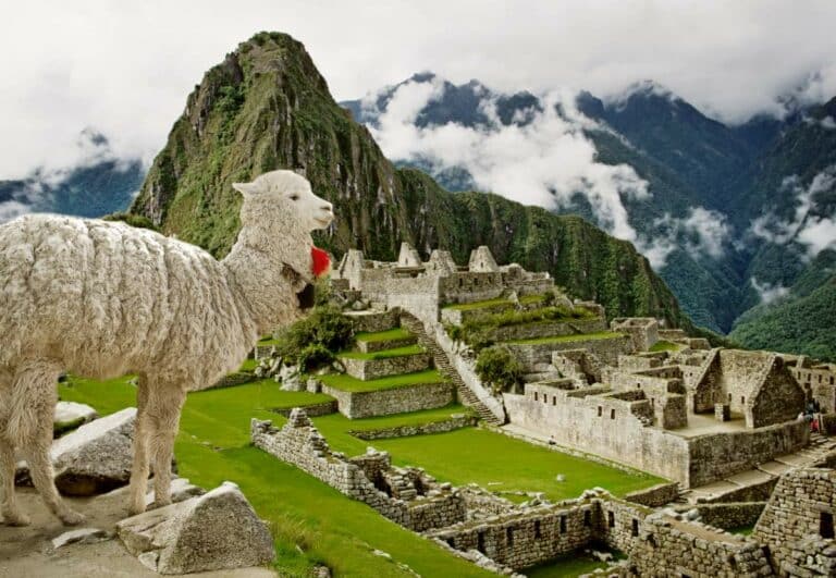 Wie Kommt Man Von Cusco Nach Machu Picchu, Peru (2 Beste Wege)