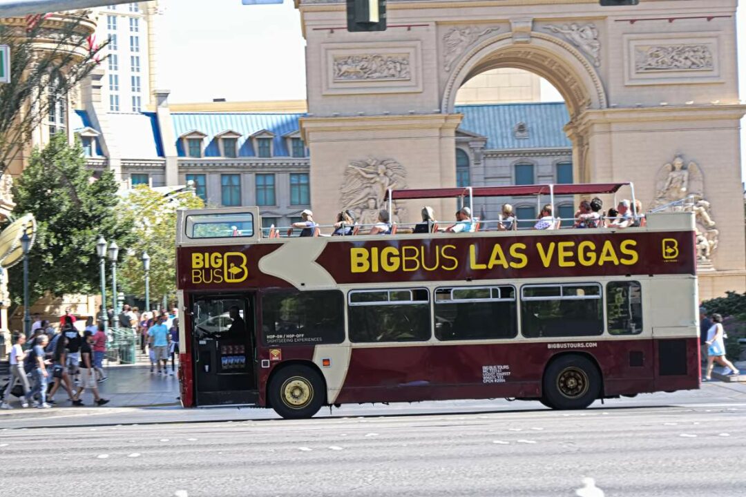 Best Transportation In Las Vegas