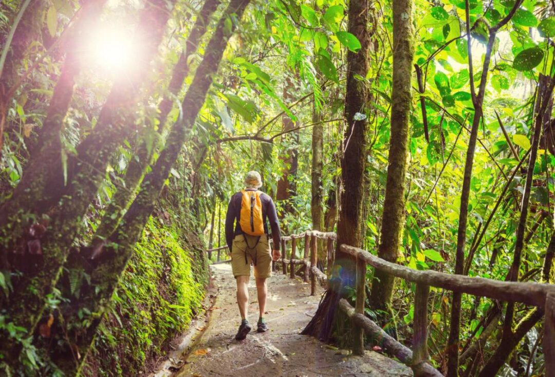 Ultimative Liste Der Besten Vulkan Arenal-Wanderungen, Costa Rica