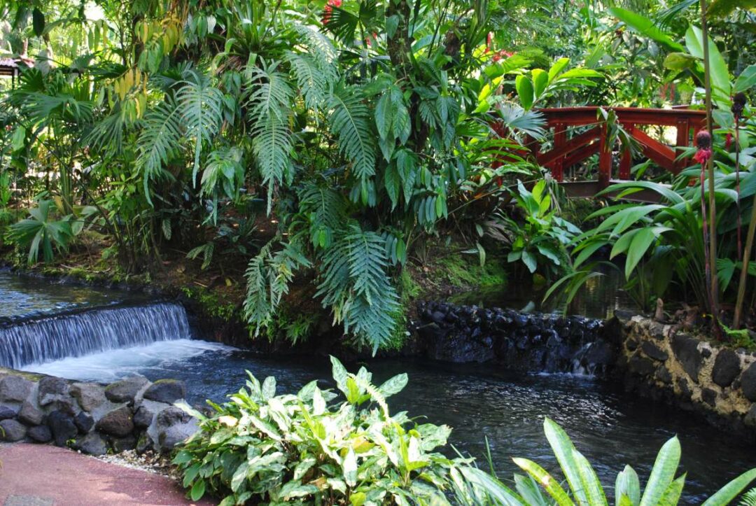 Tabacon Hot Springs Costa Rica