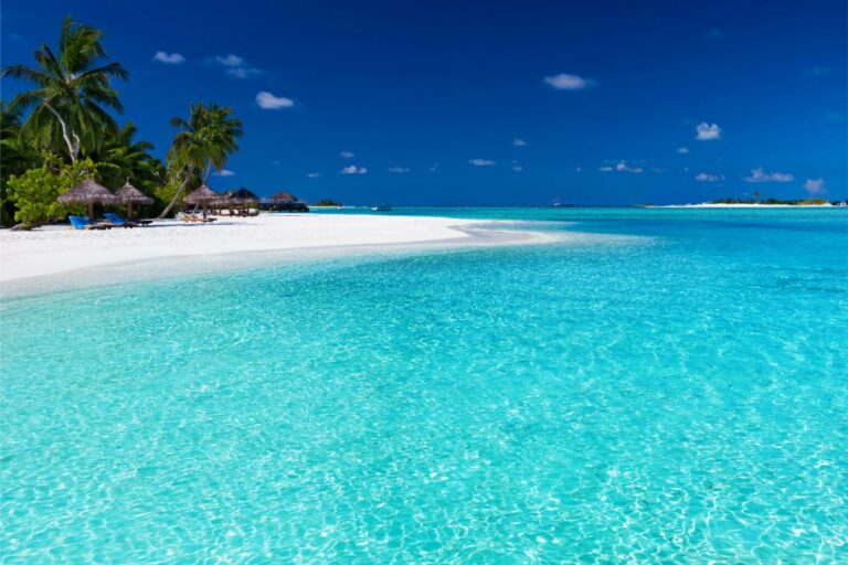 a beach with palm trees and blue water