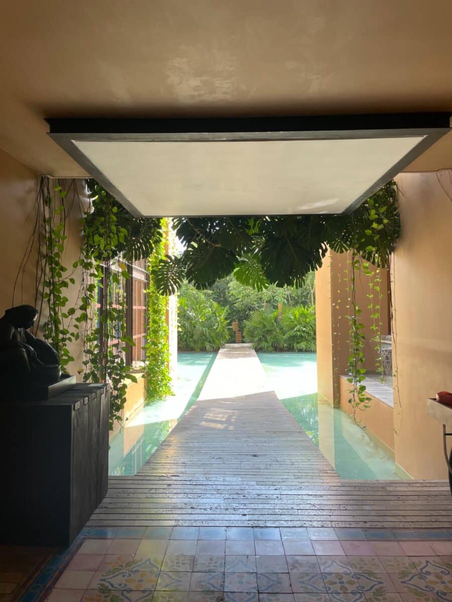 Jungle-Inspired Hallway With Hanging Vines, Sculpture, And Reflection Pool At Xcaret Arte All-Inclusive Resort Near Playa Del Carmen