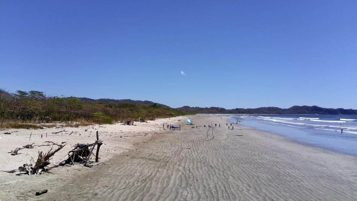 Luftaufnahme Des Strandes Playa Guiones In Nosara, Costa Rica, Mit Strandbesuchern, Die Am Sandstrand Und Den Wellen Des Ozeans Spazieren Gehen