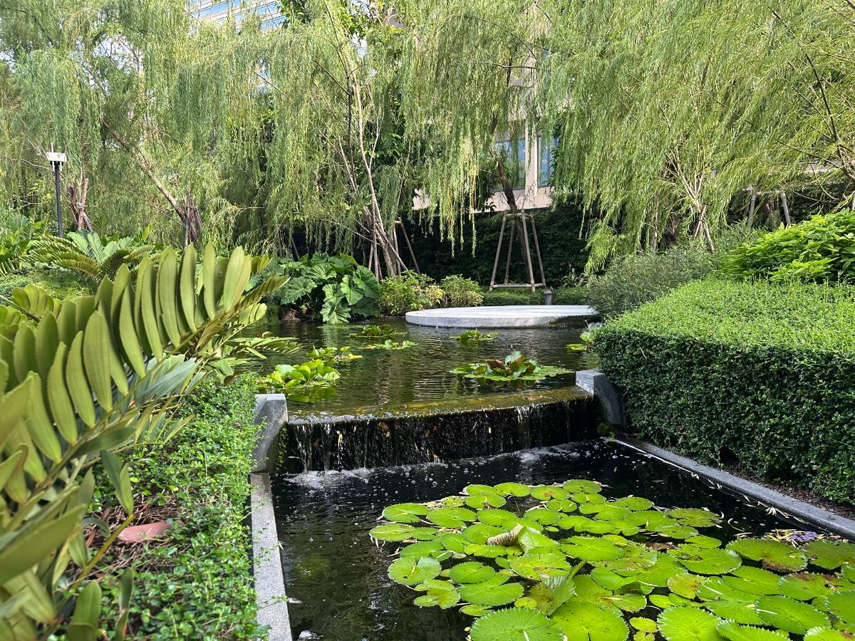 Seerosenteich Mit Wasserfall Im Garten Des Kimpton Maa-Lai Bangkok