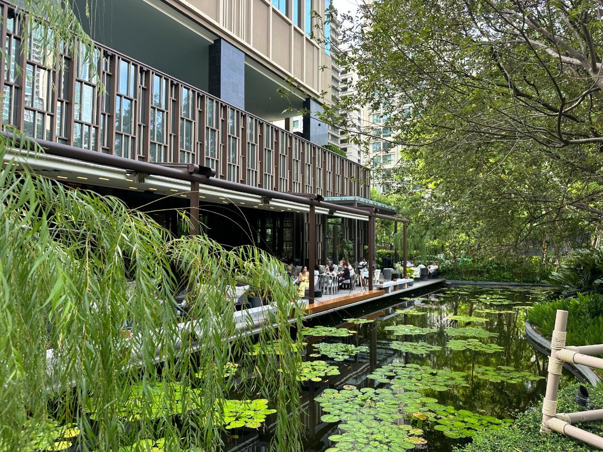 Gartenteich Mit Trauerweiden Im Kimpton Maa-Lai Bangkok
