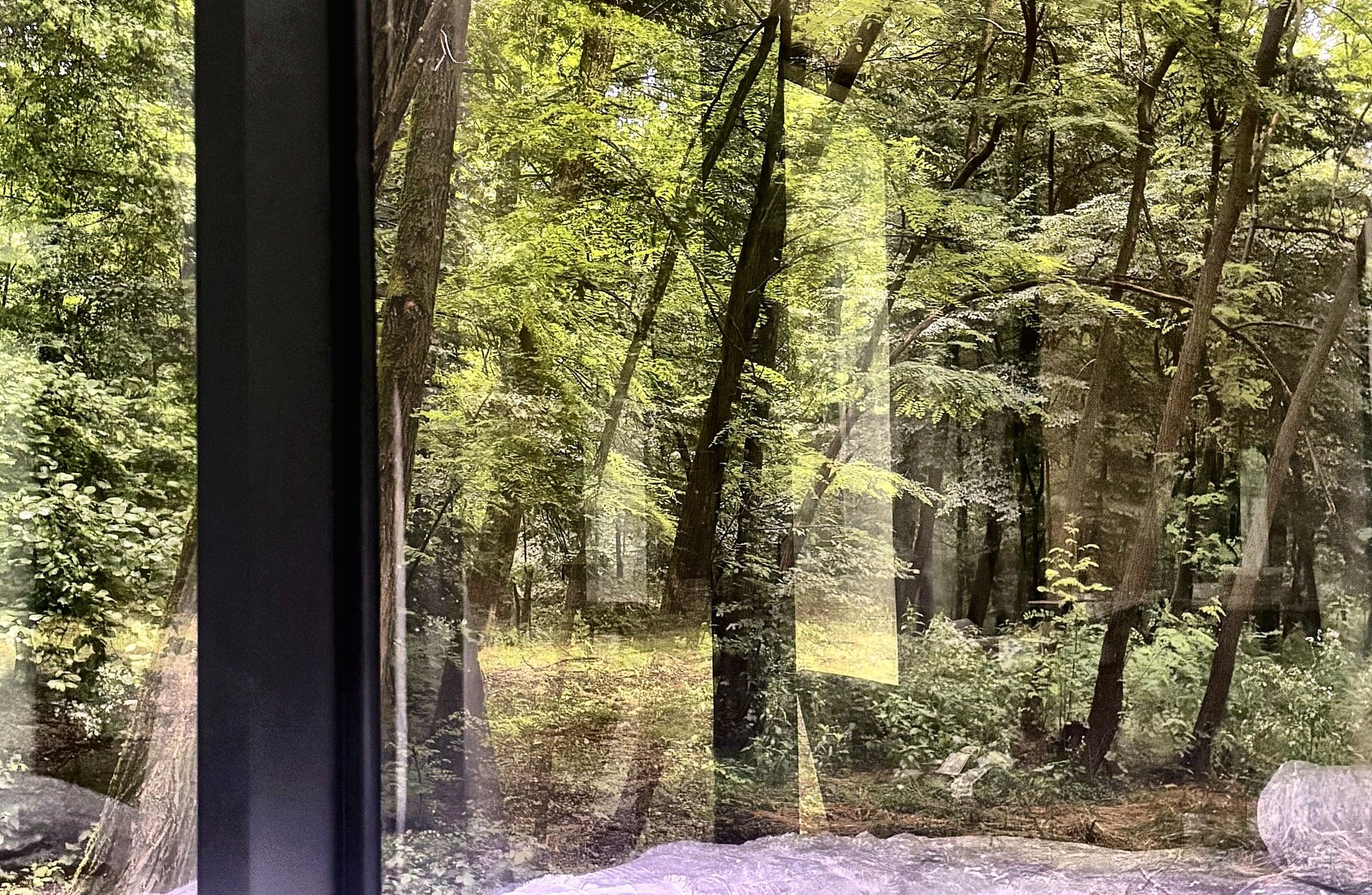 Glass Onto The Trees At Mala Vila