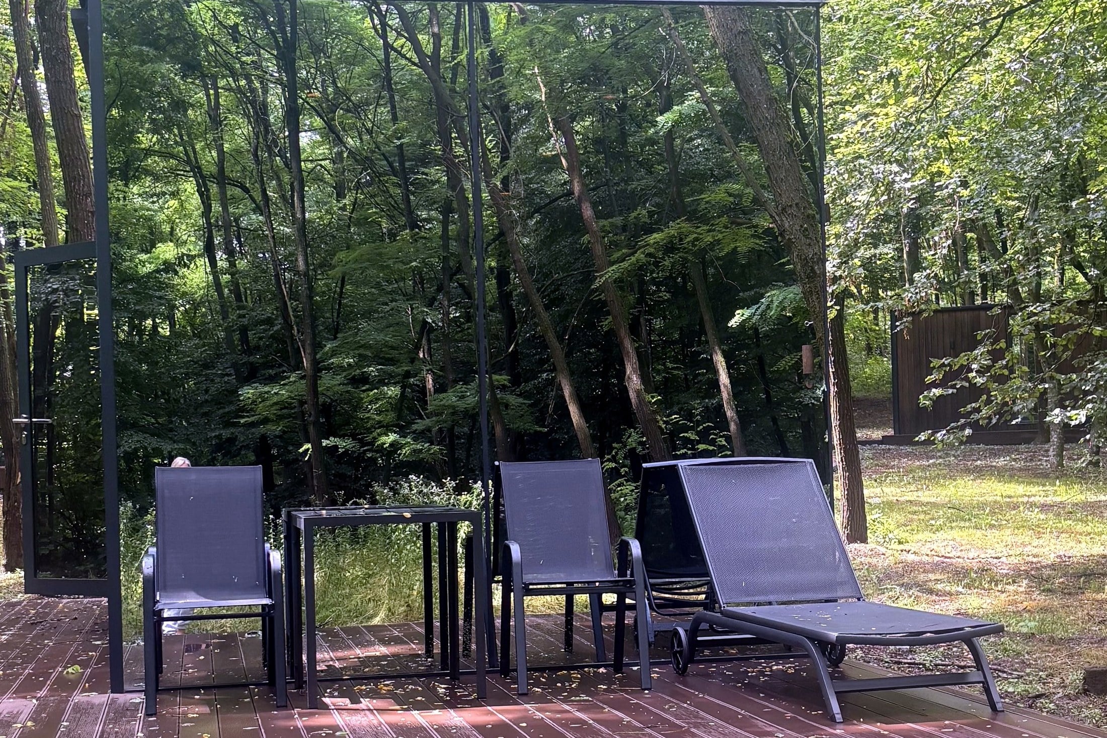 A Place To Sit In The Forest At Mala Vila