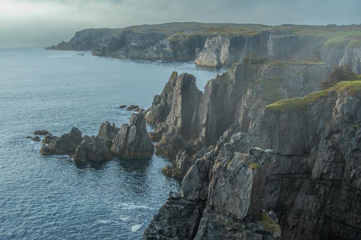 Misty Cliffs Along The Jagged Newfoundland Coastline Near Spillars Cove